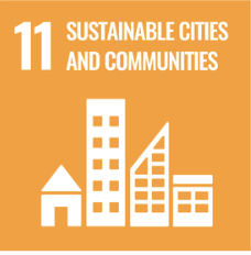SDG 11