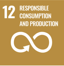 SDG 12