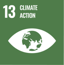 SDG 13